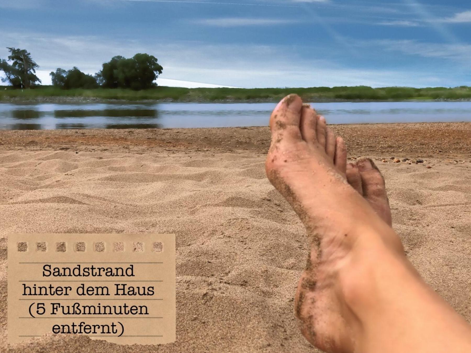 Alte Schule Wittenberg, 3 Ferienwohnungen Fuer Bis Zu 12 Personen, An Der Elbe, Mit Garten Ngoại thất bức ảnh