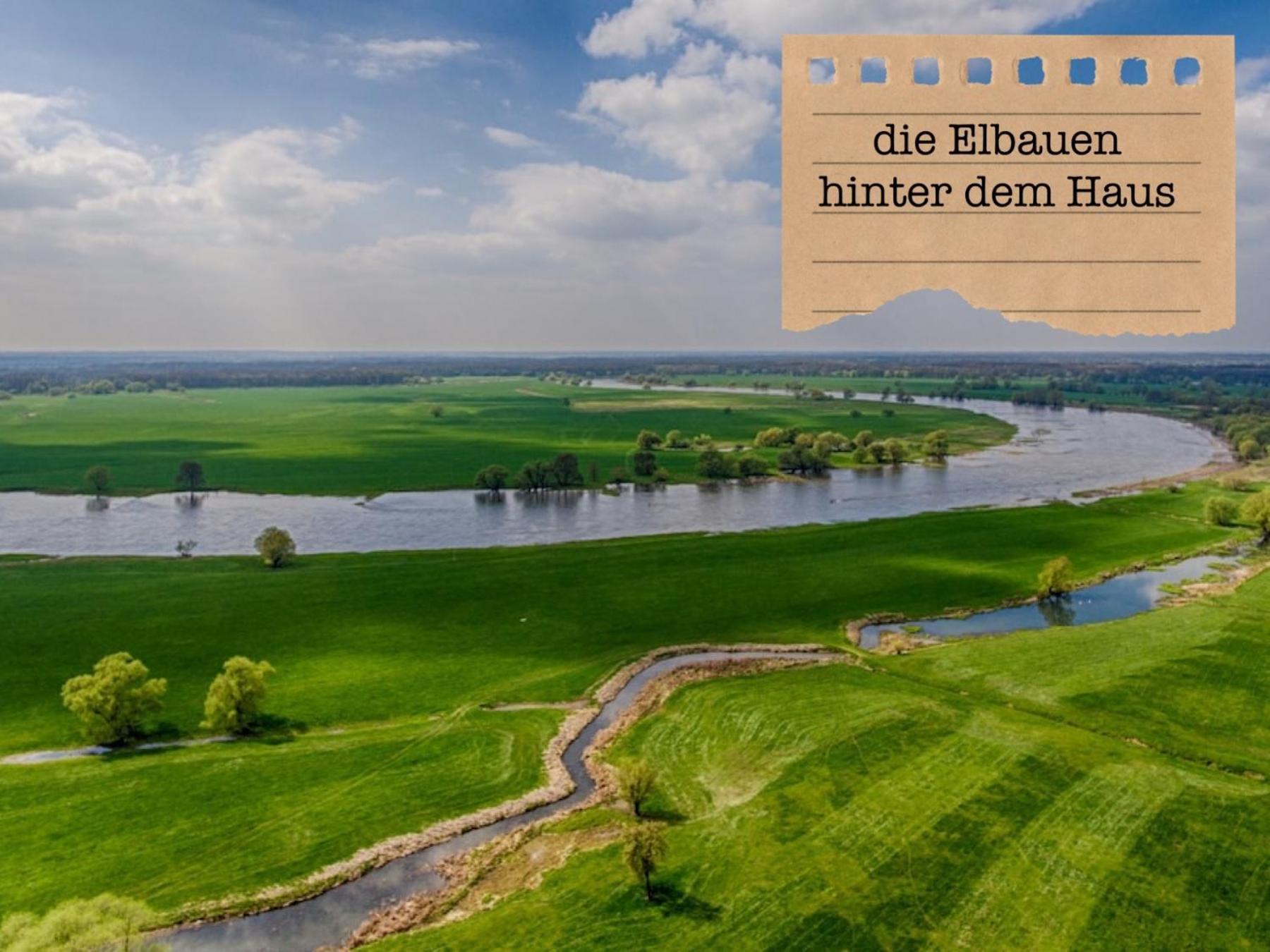 Alte Schule Wittenberg, 3 Ferienwohnungen Fuer Bis Zu 12 Personen, An Der Elbe, Mit Garten Ngoại thất bức ảnh