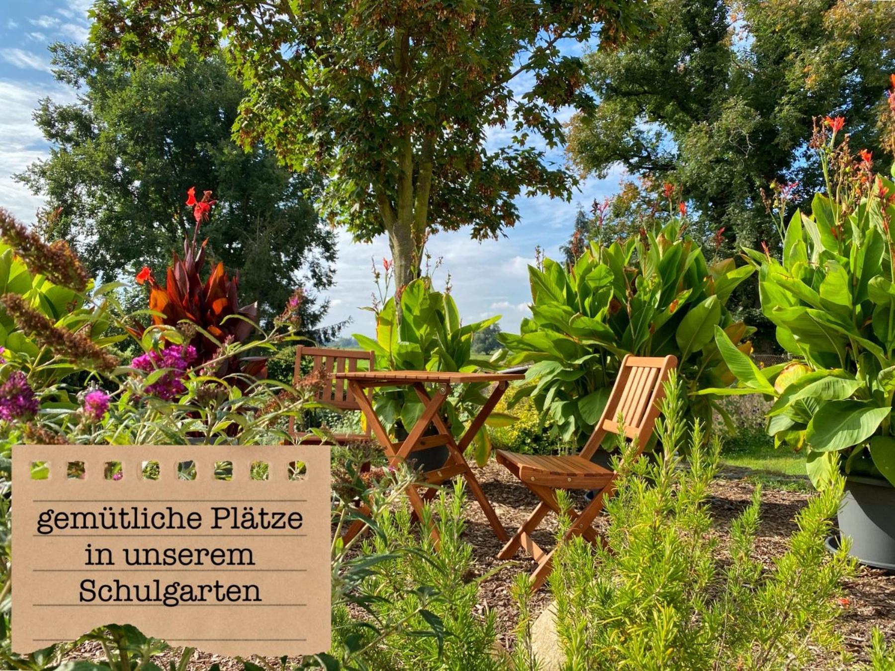 Alte Schule Wittenberg, 3 Ferienwohnungen Fuer Bis Zu 12 Personen, An Der Elbe, Mit Garten Ngoại thất bức ảnh