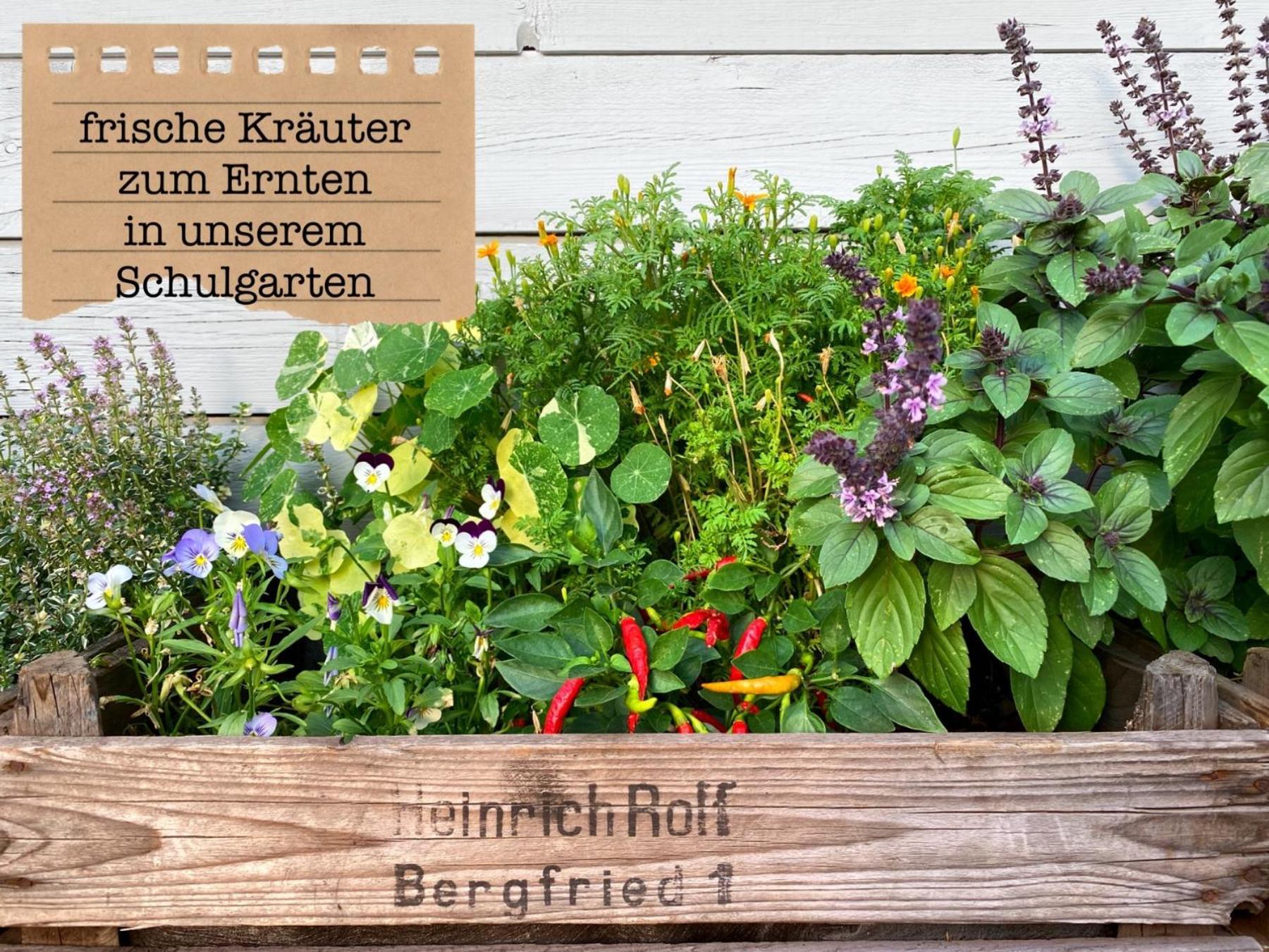 Alte Schule Wittenberg, 3 Ferienwohnungen Fuer Bis Zu 12 Personen, An Der Elbe, Mit Garten Ngoại thất bức ảnh