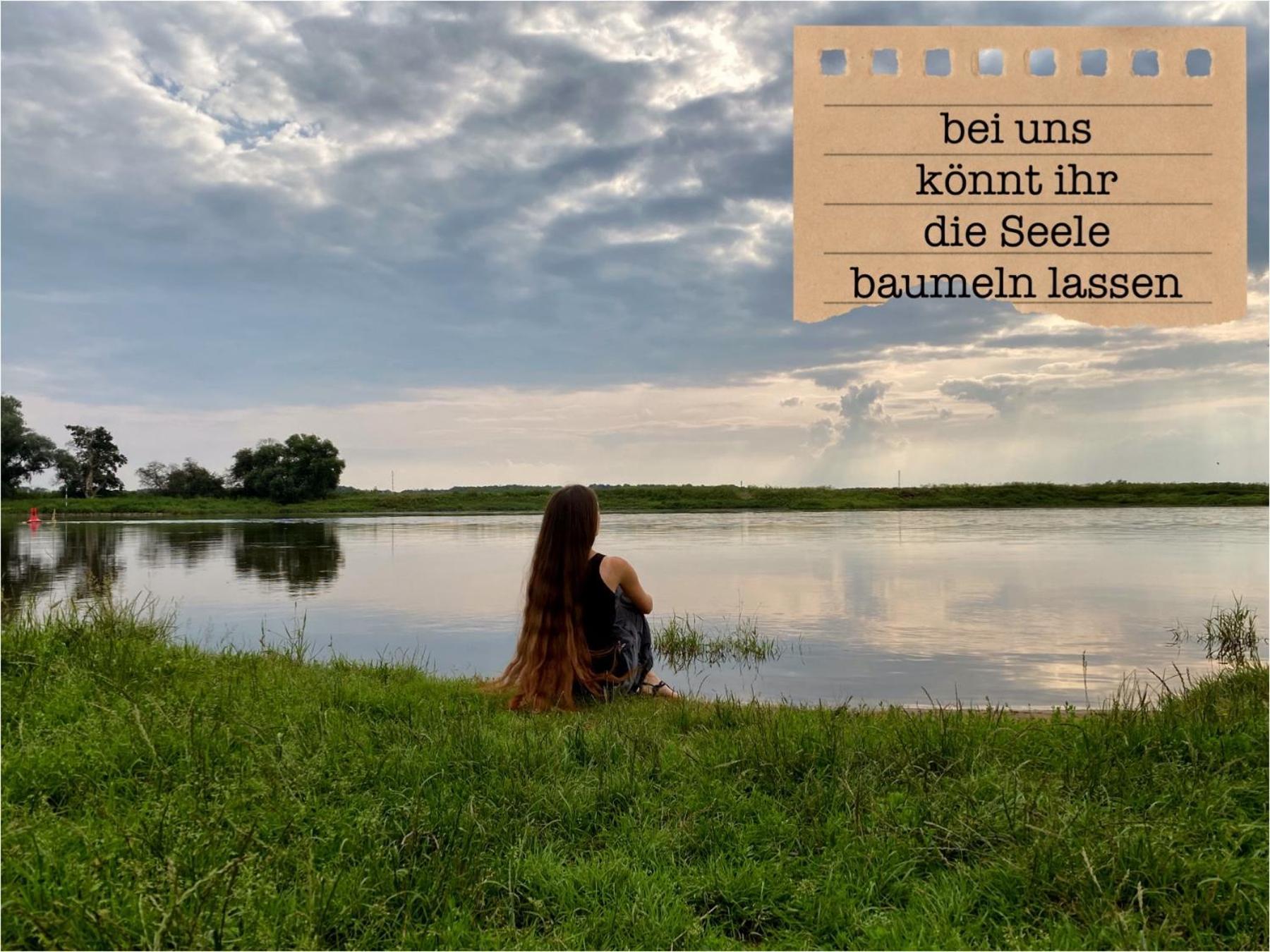 Alte Schule Wittenberg, 3 Ferienwohnungen Fuer Bis Zu 12 Personen, An Der Elbe, Mit Garten Ngoại thất bức ảnh