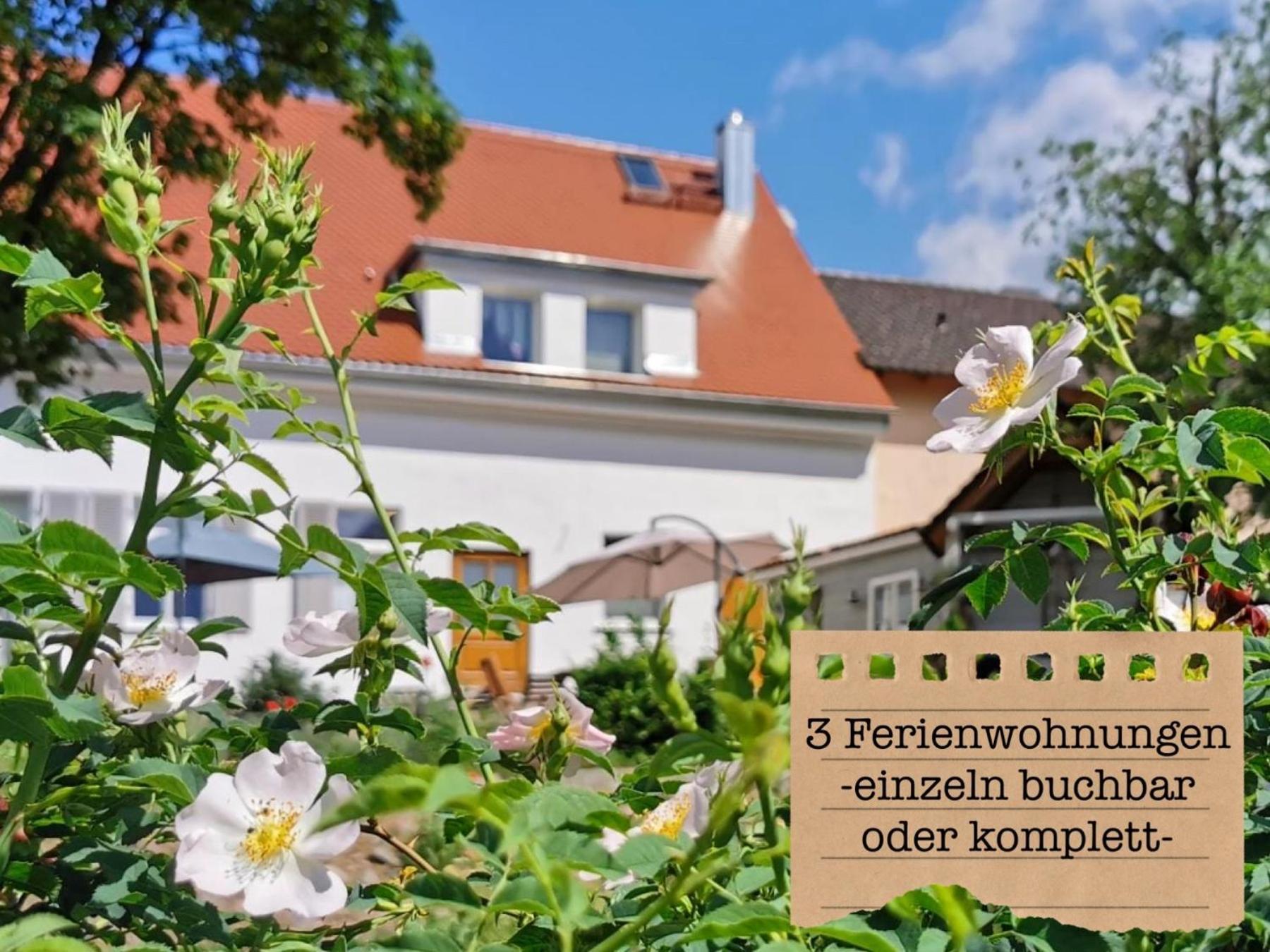 Alte Schule Wittenberg, 3 Ferienwohnungen Fuer Bis Zu 12 Personen, An Der Elbe, Mit Garten Ngoại thất bức ảnh