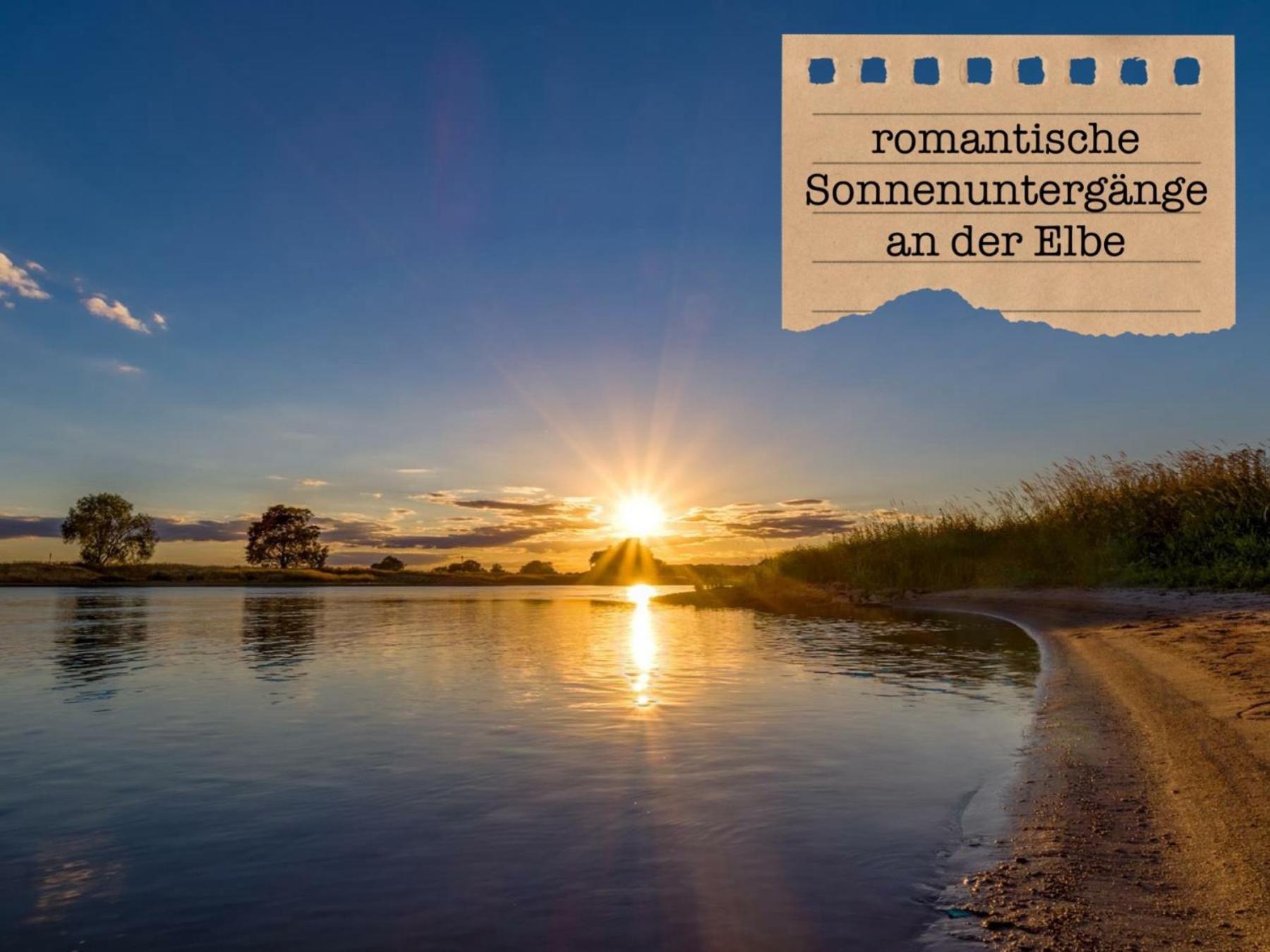 Alte Schule Wittenberg, 3 Ferienwohnungen Fuer Bis Zu 12 Personen, An Der Elbe, Mit Garten Ngoại thất bức ảnh